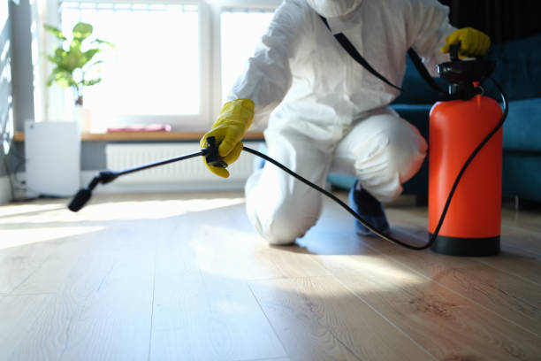 Best Pest Inspection Near Me  in Forest, VA