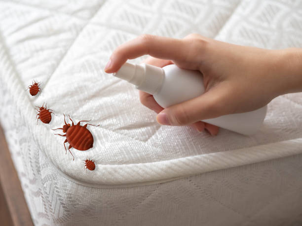  Forest, VA Pest Control Pros