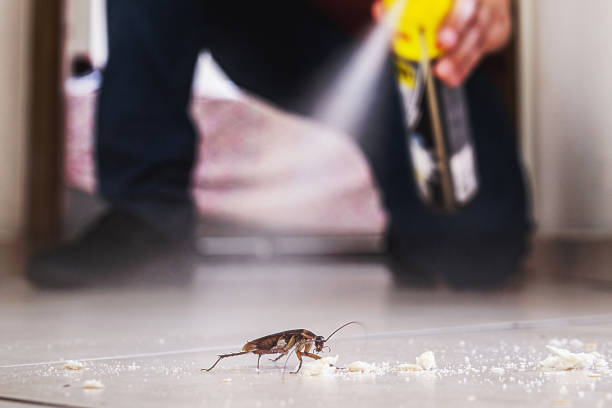 Pest Control Cost in Forest, VA
