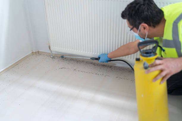 Best Best Pest Control Companies  in Forest, VA